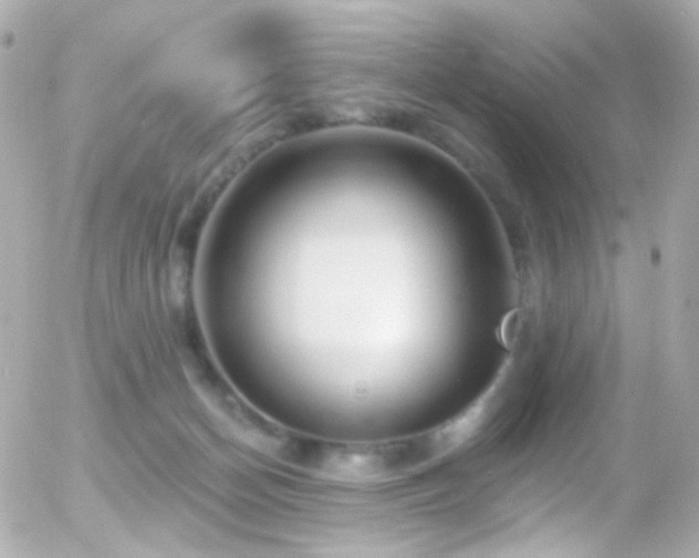 X0000055520174200508151439