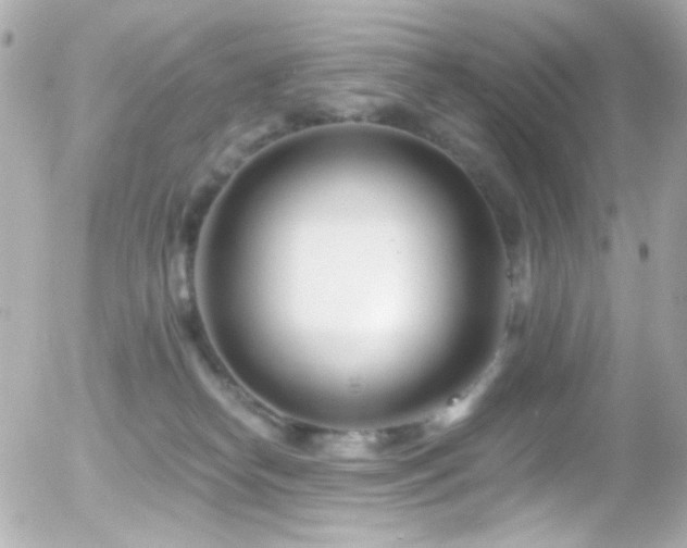 X0000055520182200508151439