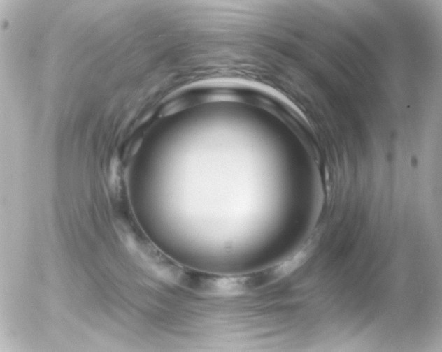X0000055520184200508151439