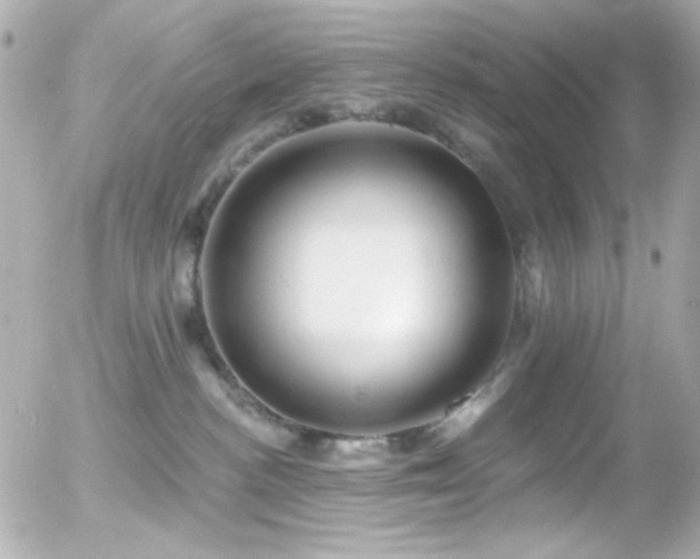 X0000055520188200508151439