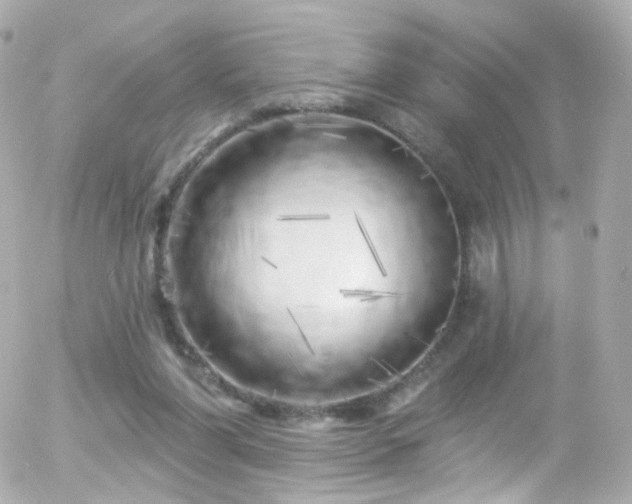 X0000055520206200508151439