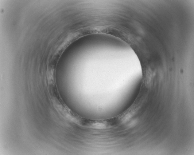 X0000055520236200508151438