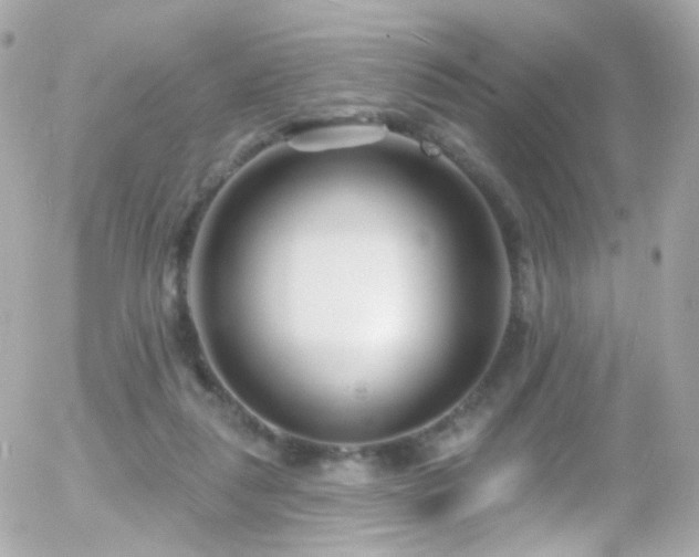 X0000055520259200508151437