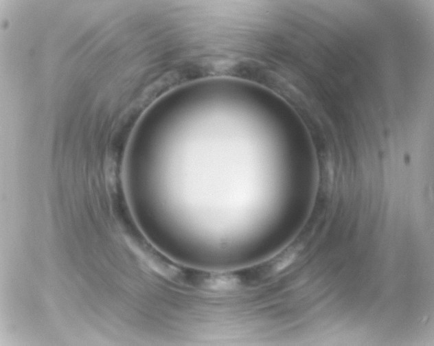 X0000055520274200508151438