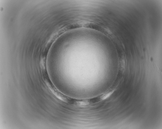 X0000055520286200508151438