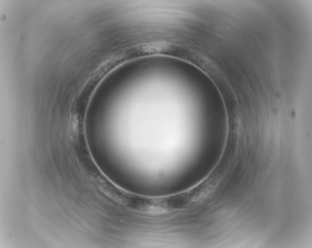X0000055520308200508151437