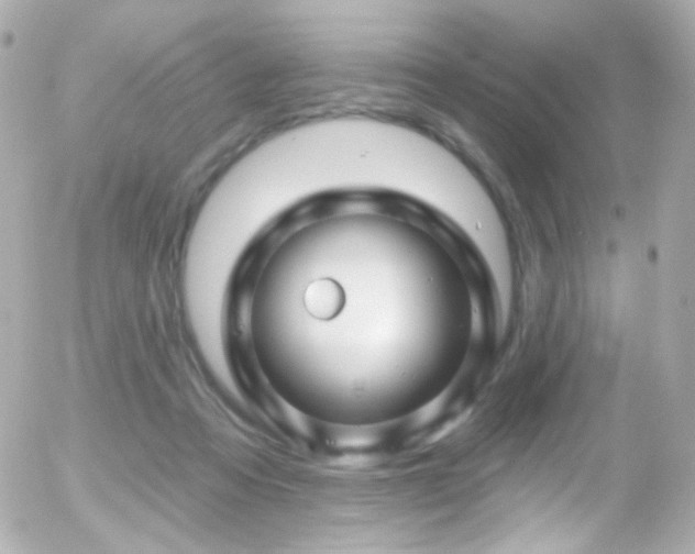 X0000055520313200508151437