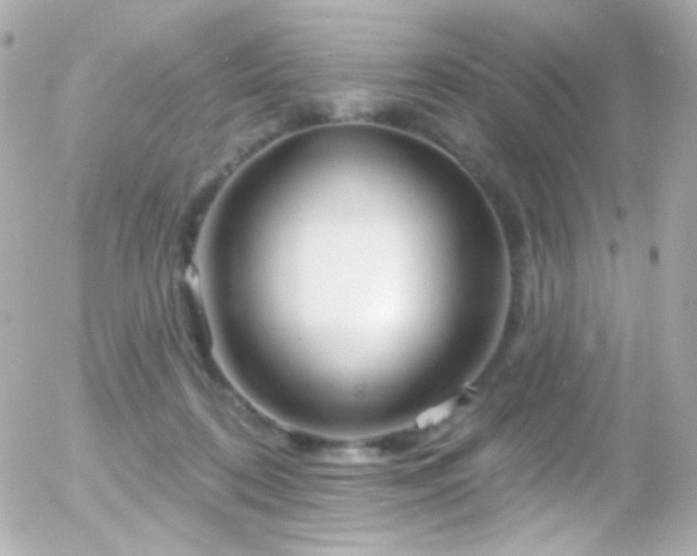 X0000055520316200508151437