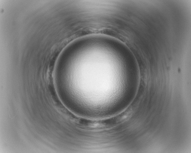 X0000055520319200508151437