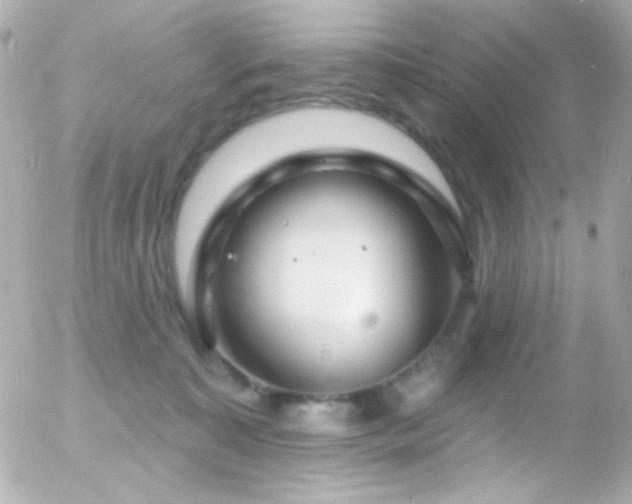 X0000055520323200508151437
