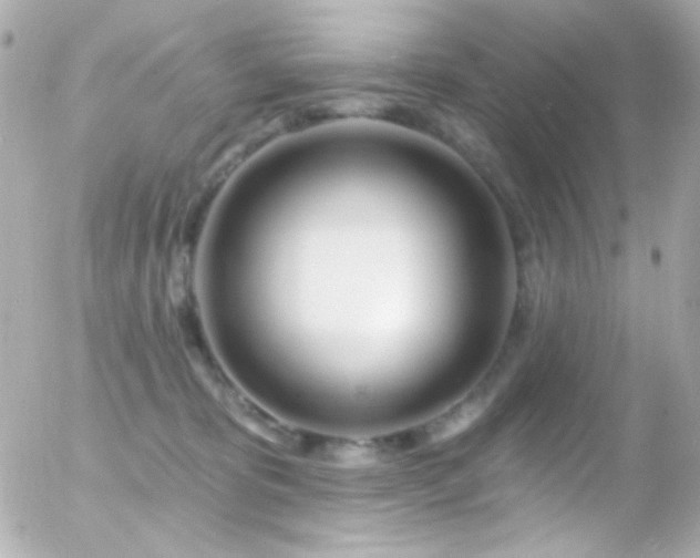 X0000055520325200508151437