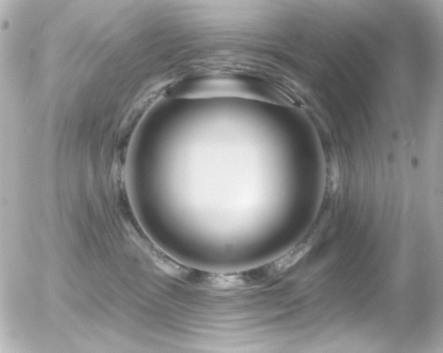 X0000055520333200508151436
