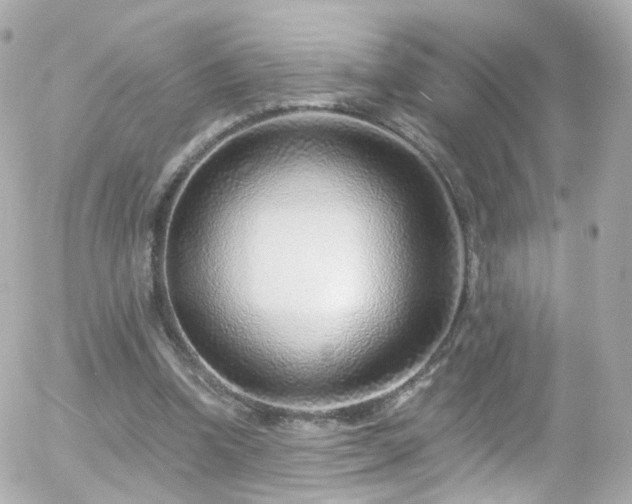 X0000055520346200508151436