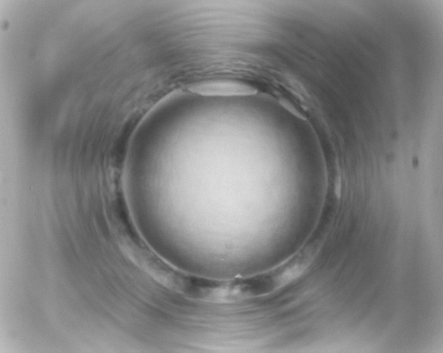 X0000055520366200508151436