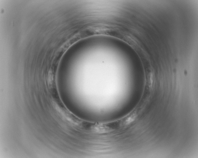 X0000055520372200508151436