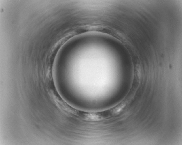 X0000055520380200508151436