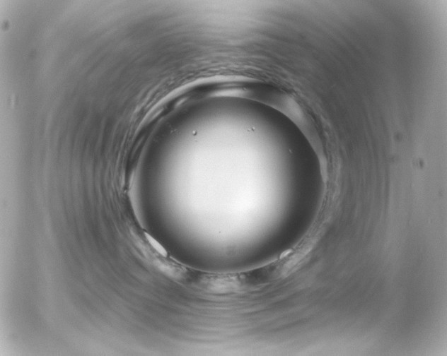X0000055520384200508151436