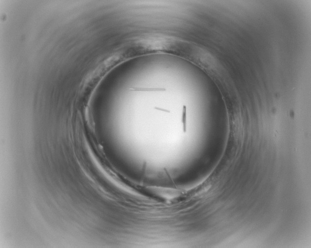 X0000055520406200508151435
