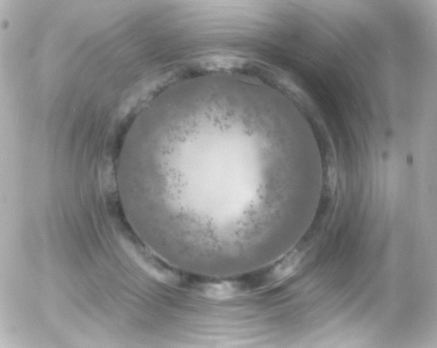X0000055520411200508151435