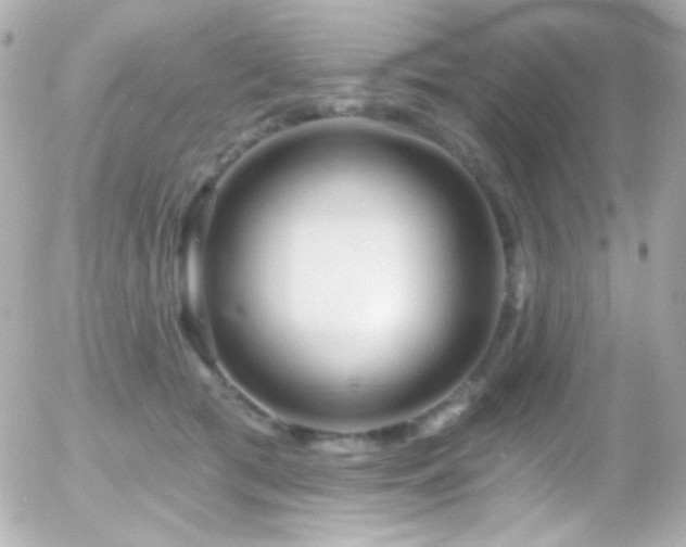 X0000055520417200508151435