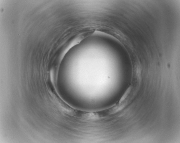 X0000055520421200508151435
