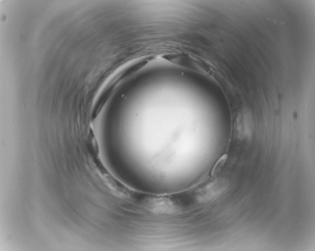 X0000055520424200508151435