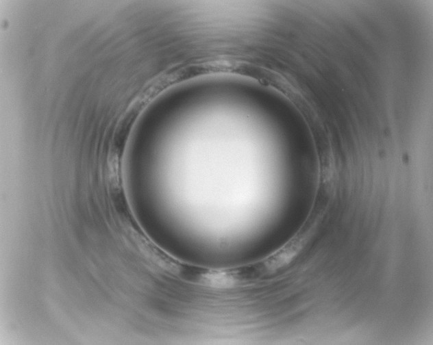 X0000055520425200508151435