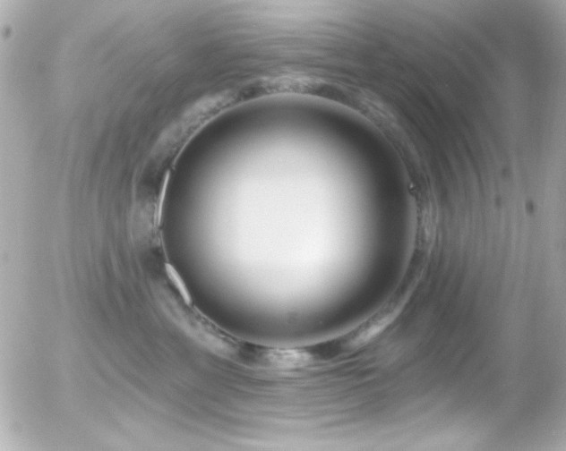X0000055520429200508151435