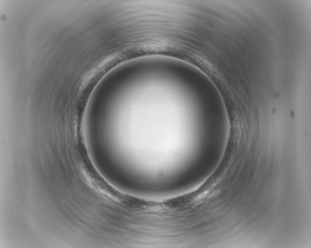 X0000055520446200508151434