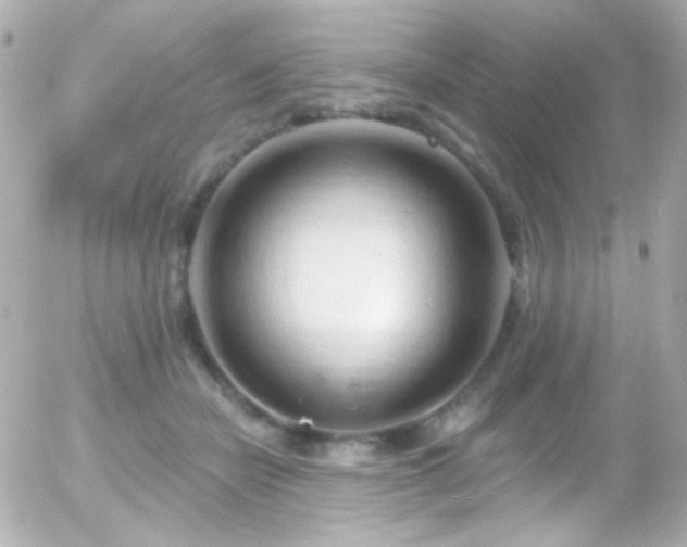X0000055520462200508151434