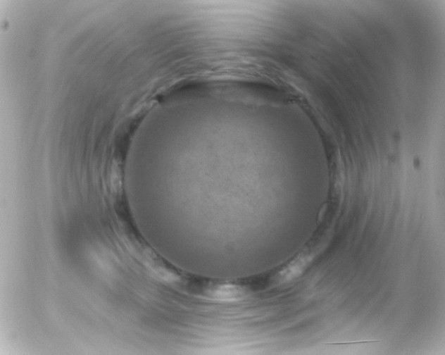 X0000055520467200508151435