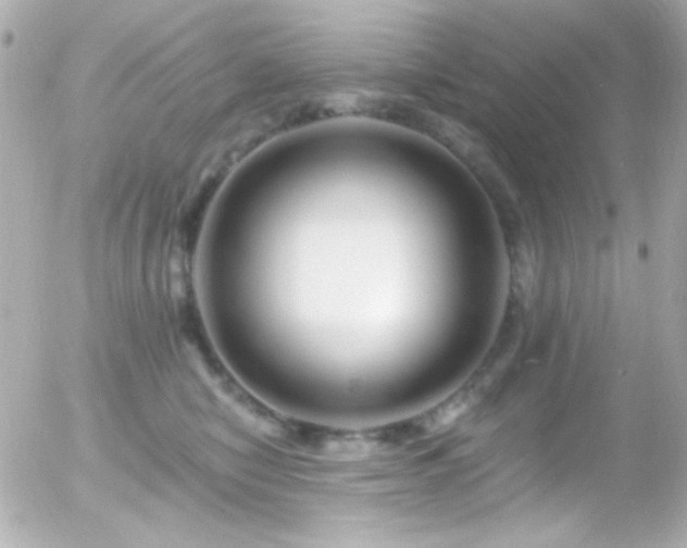 X0000055520470200508151435