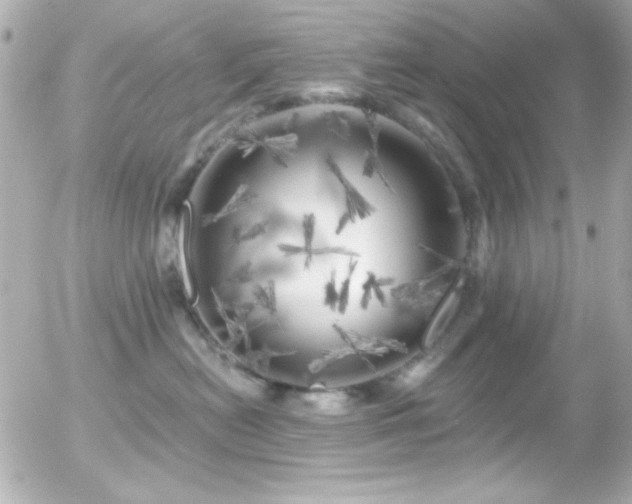 X0000055520478200508151435