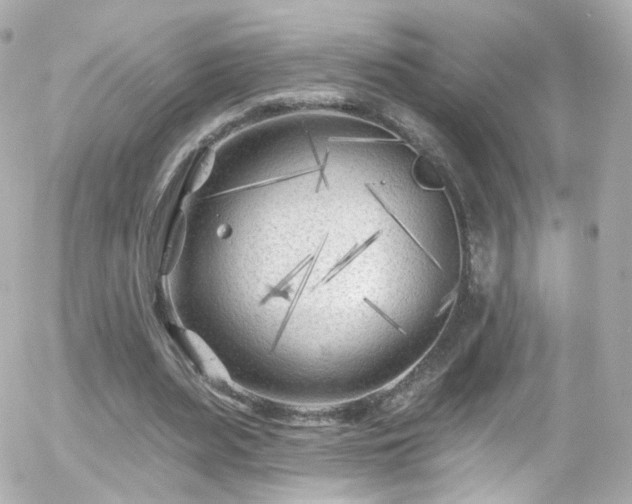 X0000055520487200508151434