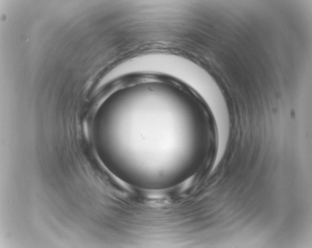 X0000055520508200508151433