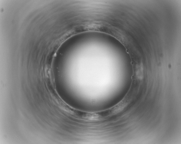 X0000055520514200508151433