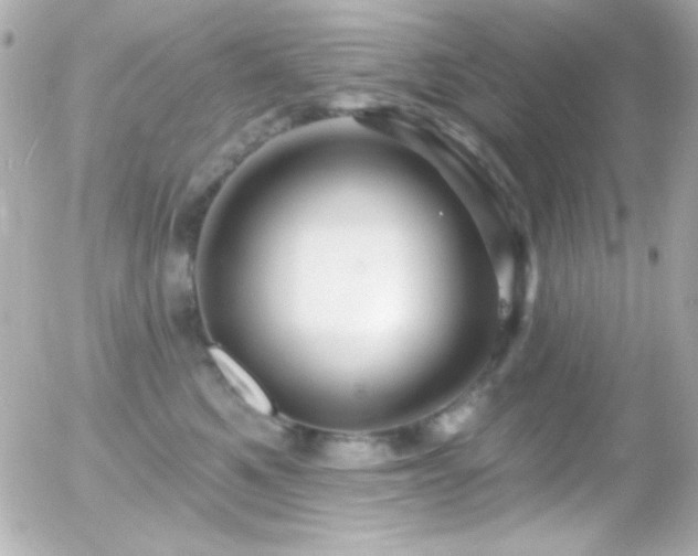 X0000055520521200508151433