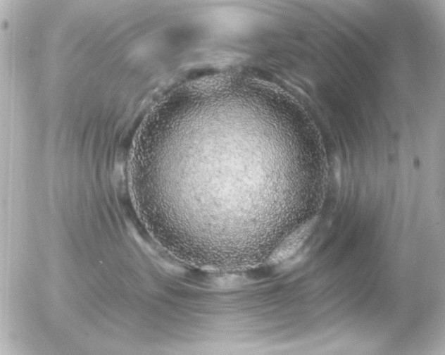 X0000055520527200508151433
