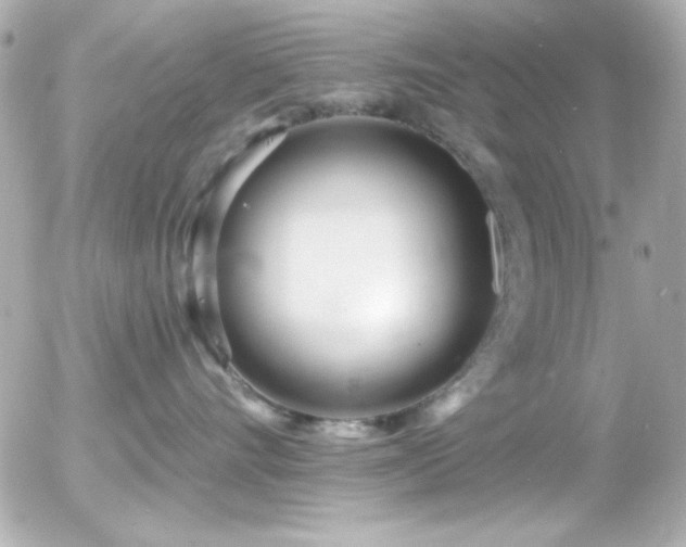 X0000055520528200508151433