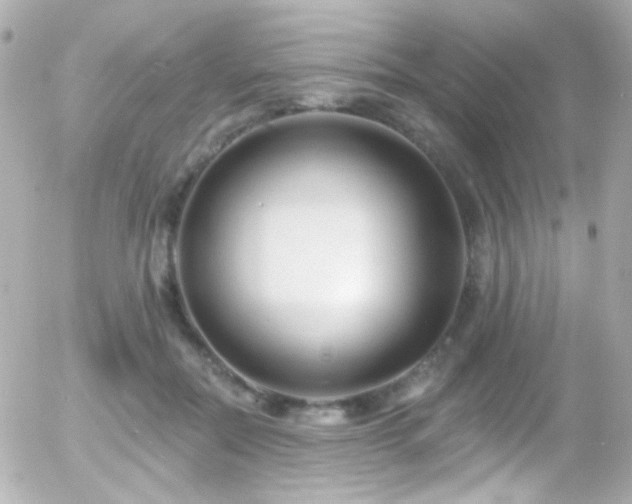 X0000055520554200508151433