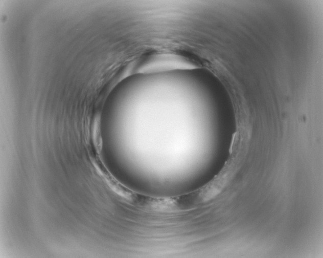 X0000055520576200508151433