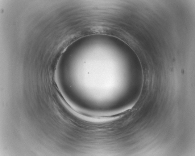 X0000055520603200508151432