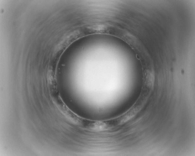 X0000055520612200508151432