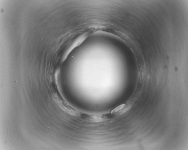X0000055520623200508151432