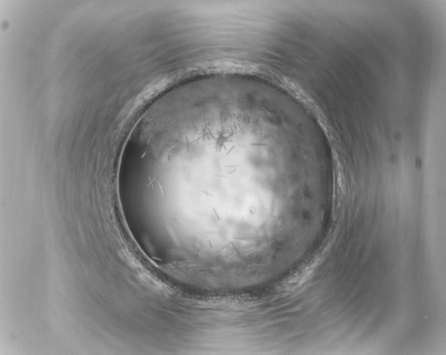 X0000055520625200508151431