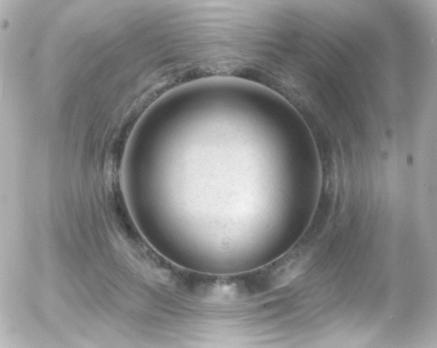 X0000055520647200508151431