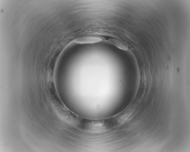 X0000055520651200508151431