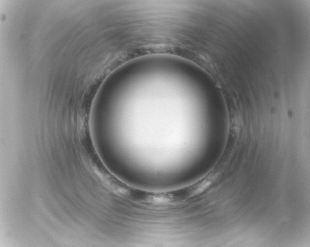 X0000055520662200508151431