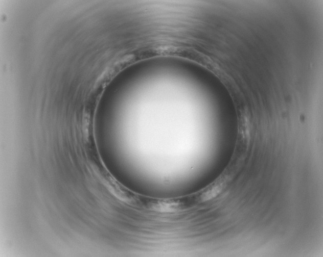 X0000055520664200508151431