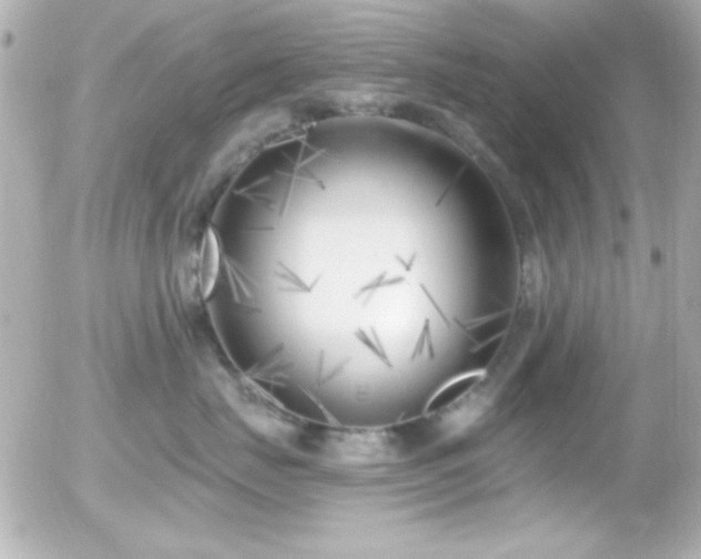 X0000055520671200508151432